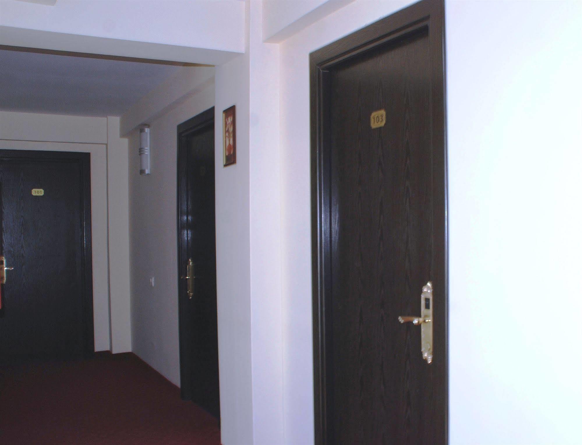 Hotel Ancor 3*